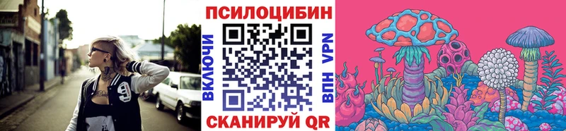 Псилоцибиновые грибы Psilocybine cubensis  Купить где  Свирск 
